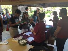 students browsing a table