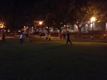 landscape at night
